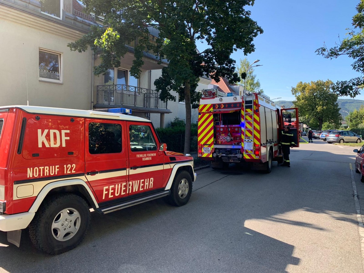 69751288_10157056502171888_2799229164048089088_o