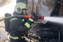 69957108_10157064191376888_4446661061243830272_n