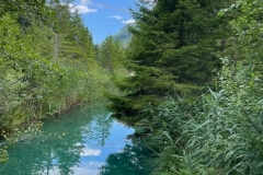 image11