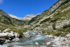 image6