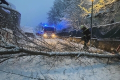 2023-12-02-TE_Wintereinbruch02