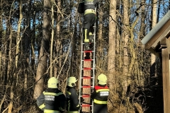 2024-01-04-TE_Sturmschaden02