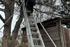 2024-02-04-TE_Sturmschaden_Personensuche03