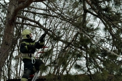 2024-02-04-TE_Sturmschaden_Personensuche04