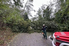 2024-09-19_SO-Abschlussbericht_Extremwetterlage09