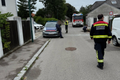 2025-07-08_TE-Oelspur02