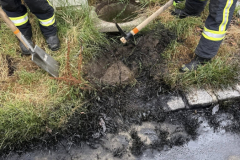 2025-07-08_TE-Oelspur03