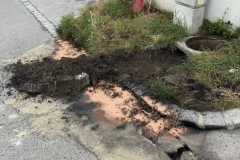 2025-07-08_TE-Oelspur04