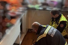 20260108-TE_KatzenRettung03