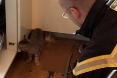 20260108-TE_KatzenRettung04