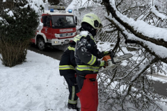 20260220-TE_diverse05