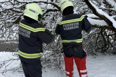 20260220-TE_diverse06