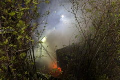 20260321-BE_BraindImFreien01