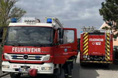 20260402-BE_Mikuebra02