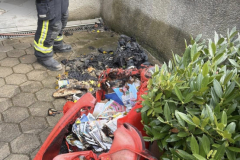 20260402-BE_Mikuebra03