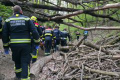 20260420-TE_Tragehilfe04