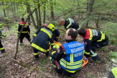 20260420-TE_Tragehilfe05