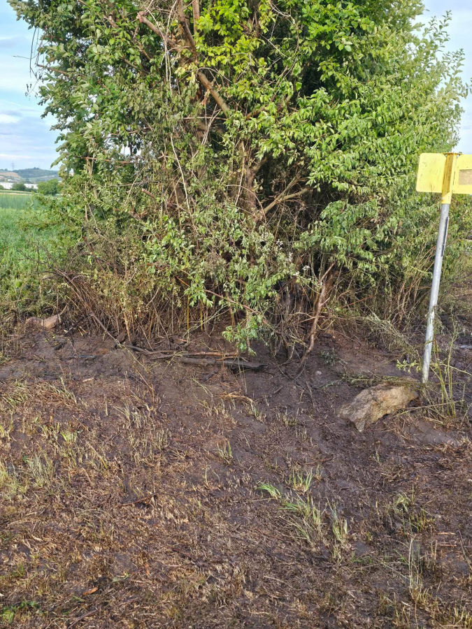 20260708-BE-TE_Vegetationsbrand_FZBergung03