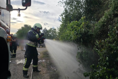 20260708-BE-TE_Vegetationsbrand_FZBergung01